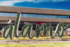 desde alamo marketplace desmienten un audio de casos de covid-19