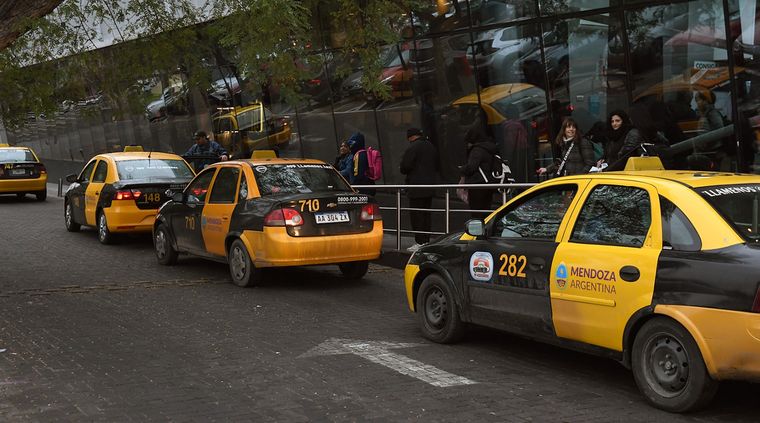 taxis taxistas terminal omnibus