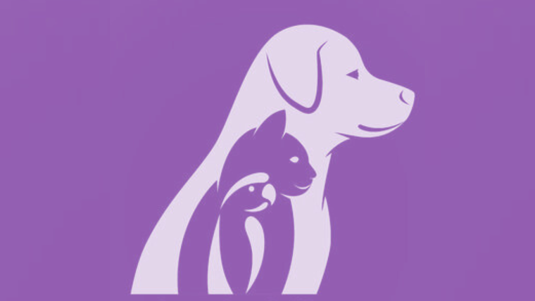 test de personalidad