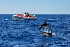 Puerto Madryn es ideal para los amantes del ecoturismo Foto: Turismo Madryn Puerto Madryn es ideal para los amantes del ecoturismo Foto: Turismo Madryn