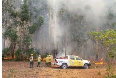 MDZol | La provincia de Corrientes arde en llamas se debido a los incendios forestales que azotan a las localidades de La Cruz, Estación Solari y Mantilla. Foto: Noticias Argentinas