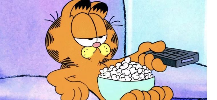 El gato más perezoso de la TV tiene su versión en la vida real Foto: Archivo