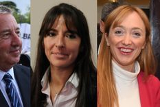vota: ¿a quien elegirias hoy como senador nacional?