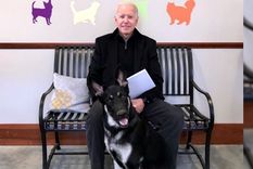 Joe Biden, junto al irascible Major. Foto: Abc13.