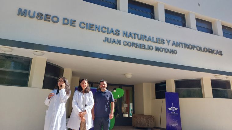 Ruggiero, Paz y Morales. Los artifices de la sala de guarda que conservará a la momia en el Museo Cornelio Moyano. Ruggiero, Paz y Morales. Los artifices de la sala de guarda que conservará a la momia en el Museo Cornelio Moyano.