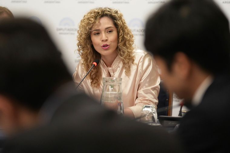 La decisión de Lourdes Arrieta genera complicaciones con la gente que nombró Foto: X:@lulimicart