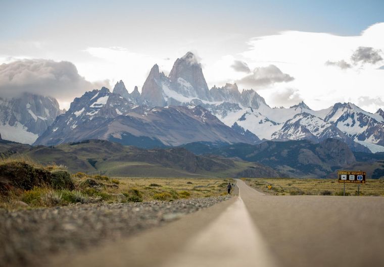 Se trata de un animal que solo habita en el sur de Argentina y Chile. Foto: La Ruta Natural