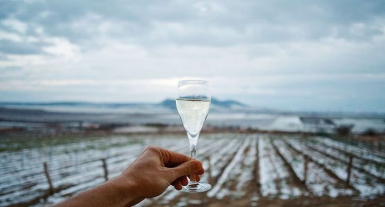 Frío: así están los números de las exportaciones de vino. Foto: Gentileza Turismo de San Rafael