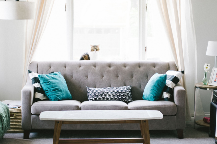 Aprende a eliminar el ruido visual y mejora la decoración de tu hogar. Foto: Pixabay - pixabay.com