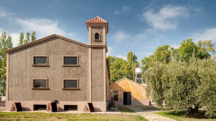 El aceite de oliva es cada vez más demandado en el mundo y Argentina tiene por delante una gran oportunidad, con demanda y buenos precios.