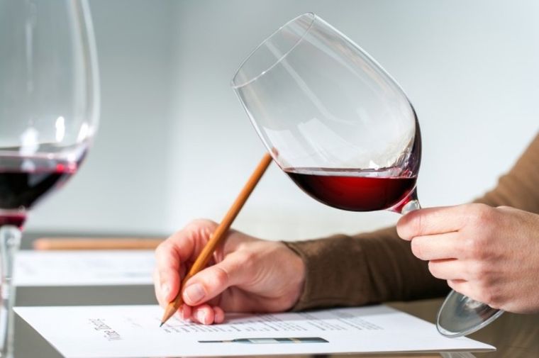 Una oportunidad para conocer el estado del muno del vino argentino actual.