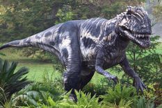 ¿es posible determinar el color de los dinosaurios?