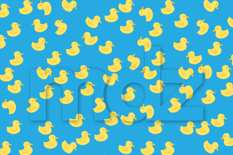 ACERTIJO VISUAL ACERTIJO VISUAL, RETO VISUAL, PATO Foto: MDZ ONLINE