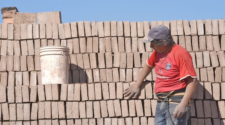 Crean ladrillo ecológico: conoce cómo es y de qué se trata