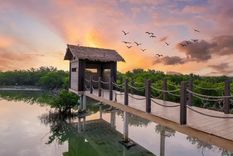 Isla Púrpura, Qatar. Foto: GETTY IMAGES