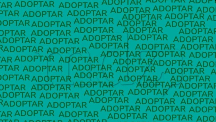 Acertijo visual, reto visual, palabra Fuente: MDZ Online