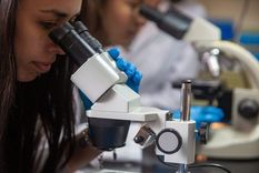 El trabajo busca dar herramientas para el diseño de estrategias que sirvan para enfrentar esta problemática Foto: Conicet