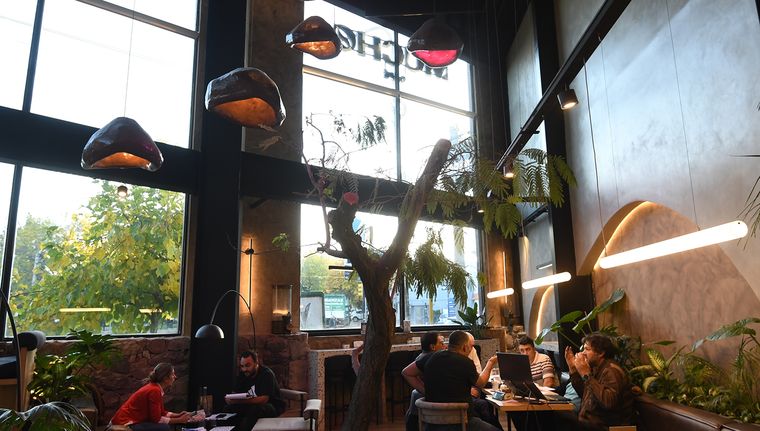 Mendoza vive un auge del café de especialidad . Foto: Marcos Garcia/MDZ Mendoza vive un auge del café de especialidad . Foto: Marcos Garcia/MDZ