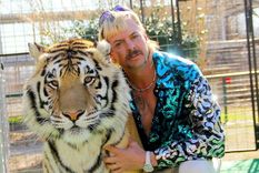 ¡balance! estas son las series de netflix mas vistas en el ultimo tiempo