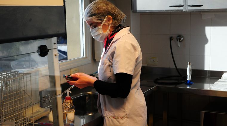 Foto: ALF PONCE MERCADO / MDZ