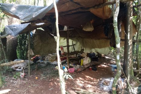 El campamento clandestino fue encontrado durante un patrullaje ambiental en una zona protegida de Misiones.