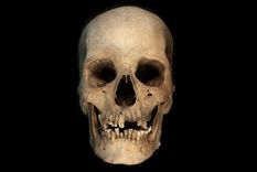 Las pruebas realizadas a  un cráneo podrían aportar nuevos datos sobre la historia antigua.