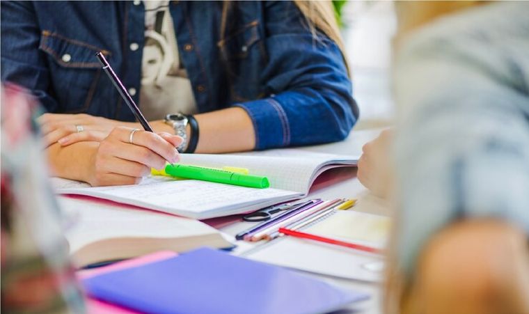Las becas están orientadas a estudiantes universitarios de carreras de grado.