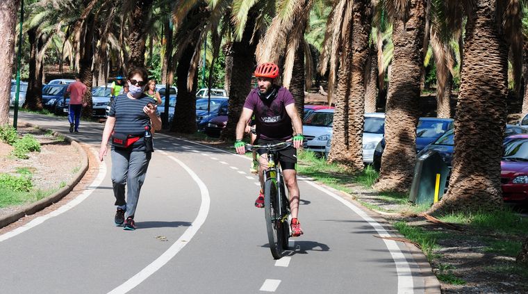 Planean modificaciones en la Ley de Tránsito en Mendoza para los ciclistas Foto: ALF PONCE MERCADO / MDZ