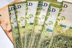 Los préstamos son por hasta $5 millones. Foto: ALF PONCE MERCADO / MDZ