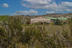 La bodega está en la Patagonia. Foto: Gentileza