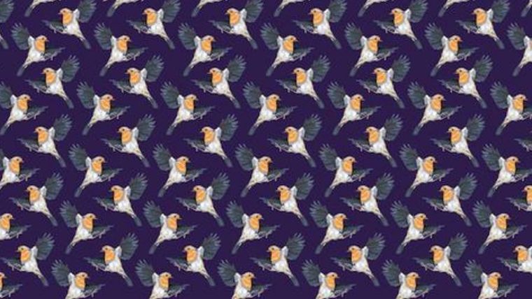 Acertijo visual, reto visual, palomas Pinterest Foto: Archivo MDZ