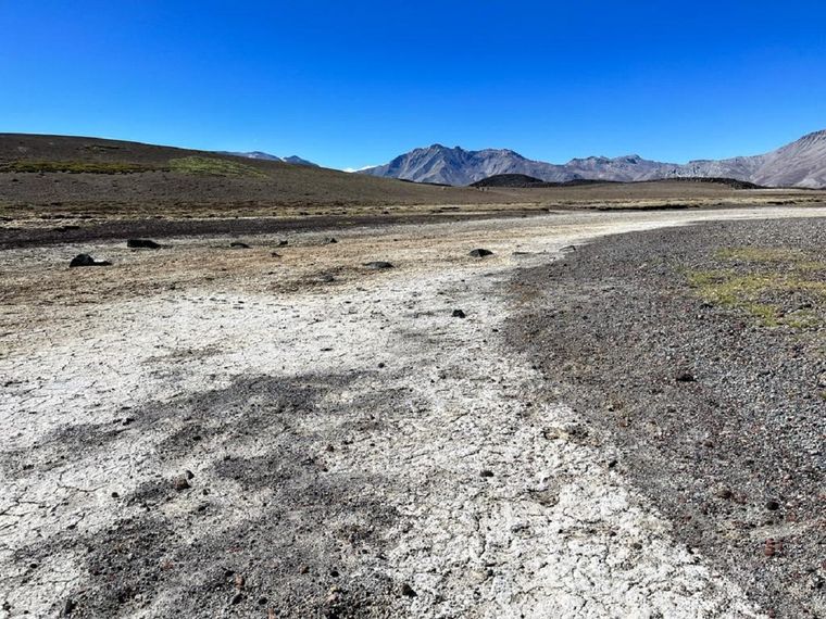 La sequía que azota a la provincia desde hace más de 10 años genera grandes pérdidas ambientales. Foto: Andrea Ginestar