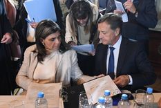 Los senadores Rodolfo Suarez y Mariana Juri apoyaron los cambios a la ley de glaciares, la baja de la imputabilidad y la reforma laboral, pero sin opinar.