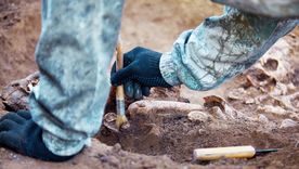 El descubrimiento se enmarca en un programa oficial de excavaciones que continúa en la zona. El descubrimiento se enmarca en un programa oficial de excavaciones que continúa en la zona.
