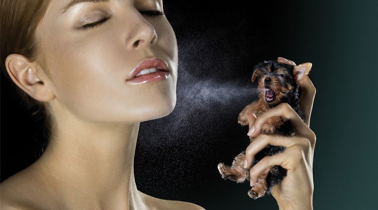 Foto: Publicada en masr.com.mx