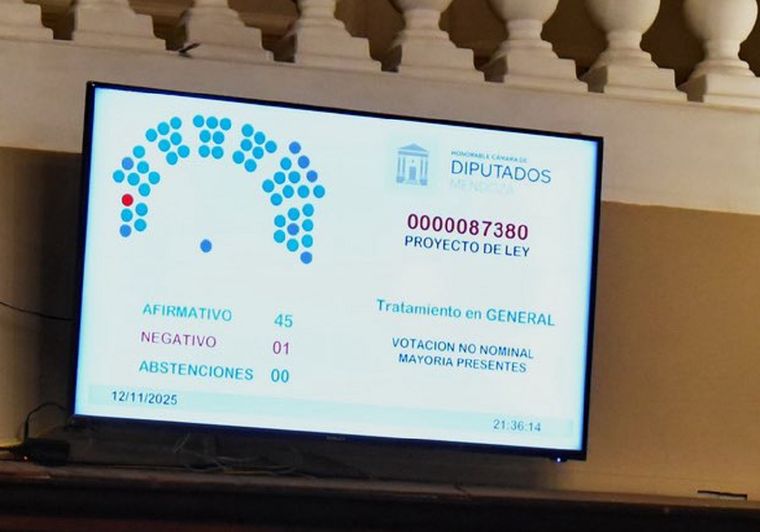 El proyecto continuará su tratamiento en el Senado para su ratificación.
