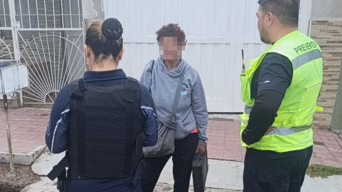 Robo en la Quinta Sección: detuvieron a una mujer y recuperaron objetos sustraídos de un auto