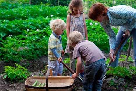 Que los niños tengan su propio espacio en una huerta ayudará a estimular la curiosidad natural de los más pequeños con la jardinería. Foto: Leigh Clapp