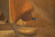 hasta los dioses pierden la paciencia ante una mosca