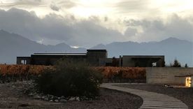 Bodega Corazón del Sol. Foto: Facebook Bodega.