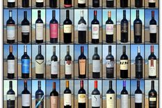 los mejores del winemdq malbec tasting 2014