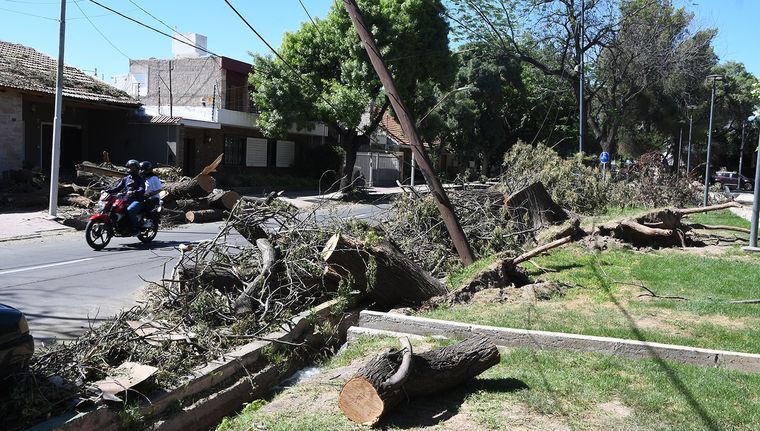 Foto: ALF PONCE MERCADO / MDZ