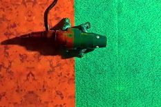 La tecnología se desarrolla en el ámbito militar. Foto: Seung Hwan Ko et al.