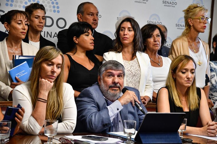 El kirchnerismo denunció fuertemente a la vicepresidenta de la Nación Foto: Télam