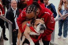 Hamilton dio a conocer la triste noticia en sus redes sociales. Hamilton dio a conocer la triste noticia en sus redes sociales.