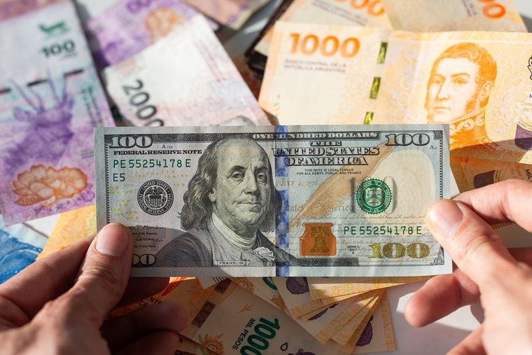 En lo que va del año el dólar blue tuvo un salto de 95 pesos, un incremento de 9,5%. Foto: Shutterstock