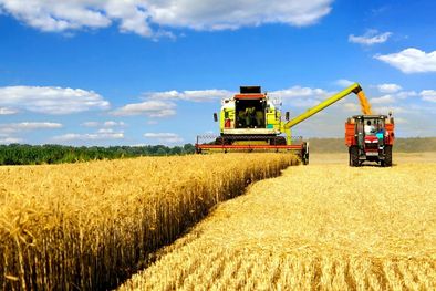 MDZol | Foto: Cátedravícola.