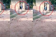 La mujer fue detenida e imputada Foto: Diario Panorama