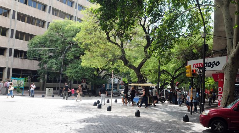 Foto: ALF PONCE / MDZ