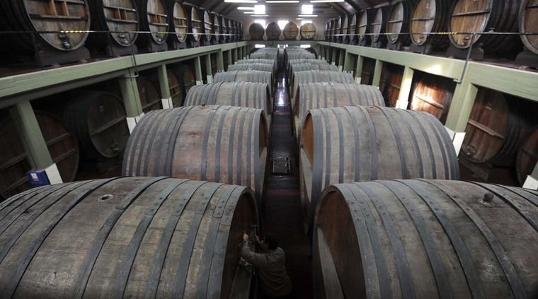 Se extiende a todo el mes de agosto la Campaña “Bodegas Abiertas” el programa para que los mendocinos puedan visitar y experimentar en las bodegas.